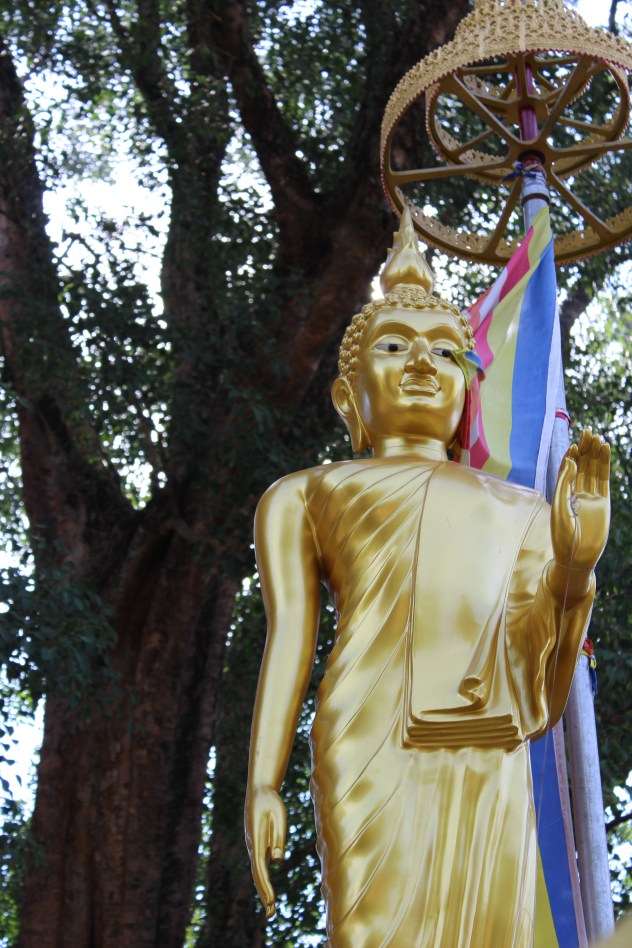 Buddhism in Sri Lanka
