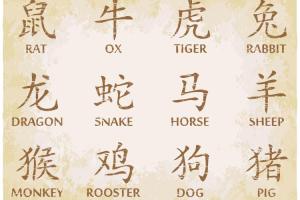 chinese-calendar-zodiac-symbols