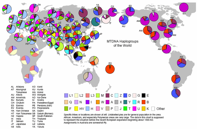 haplogroups-of-the-world-mt