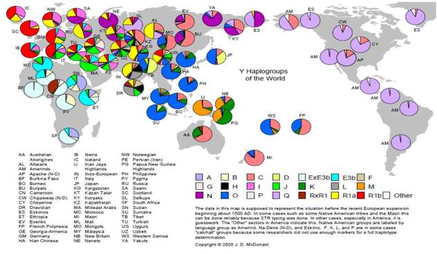 world-map-haplogroups-y-dna